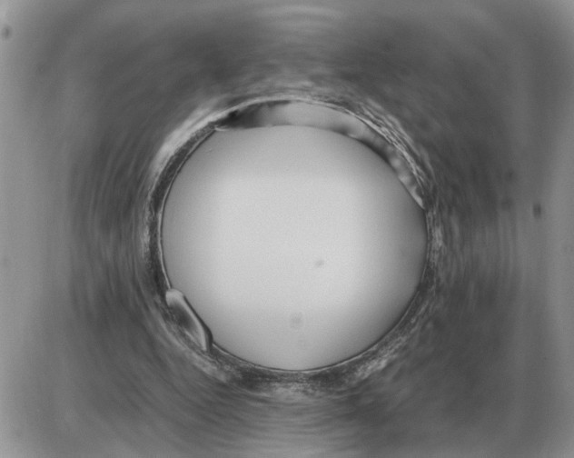 X0000086060344200704202106