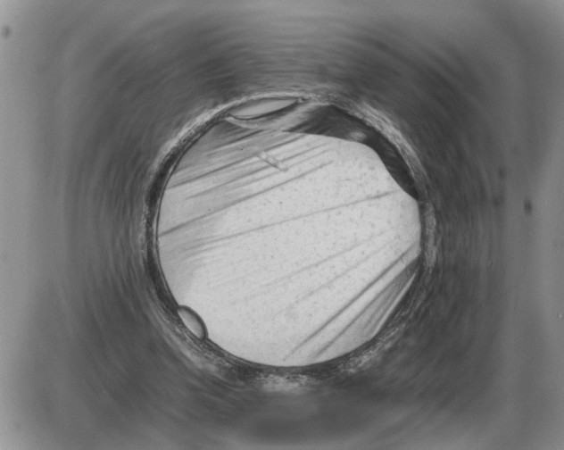 X0000086060346200704202106