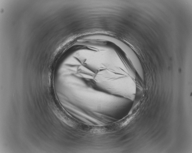 X0000086060350200704202106