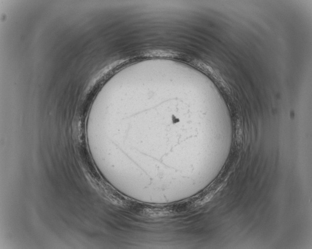 X0000086060351200704202106