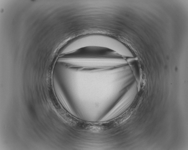 X0000086060352200704202106