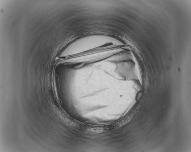 X0000086060353200704202106