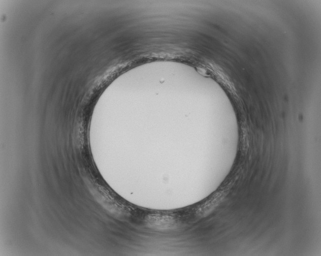 X0000086060354200704202106