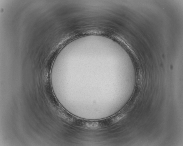 X0000086060355200704202106