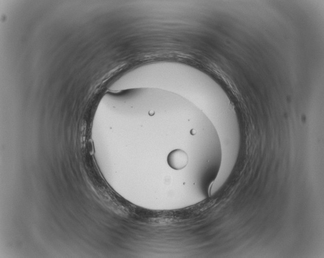 X0000086060356200704202106