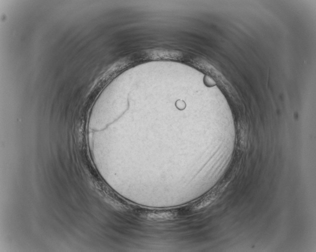 X0000086060357200704202106