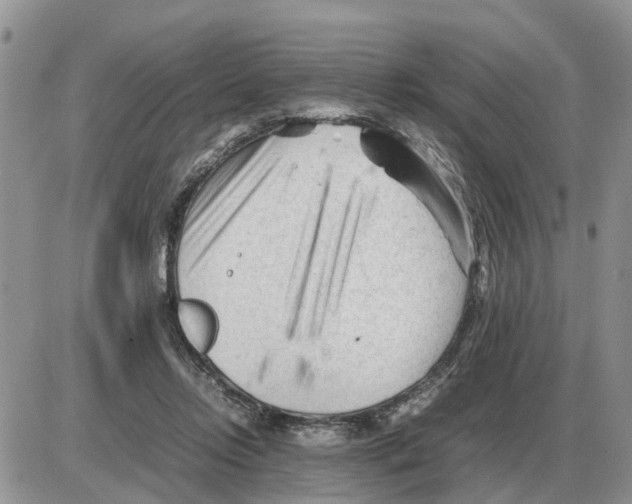 X0000086060358200704202106