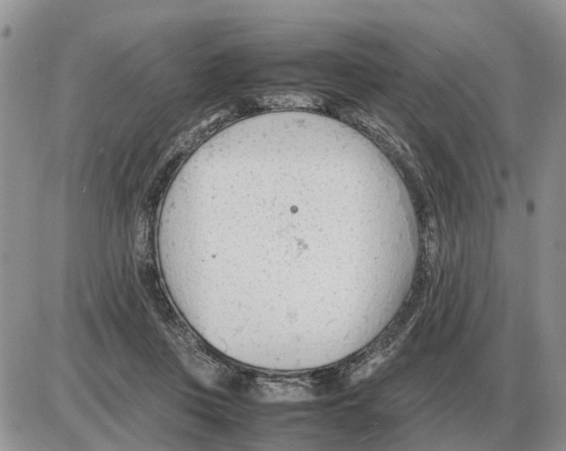 X0000086060359200704202106