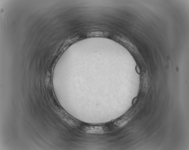 X0000086060361200704202106