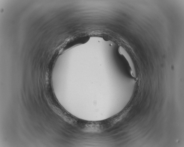 X0000086060362200704202106