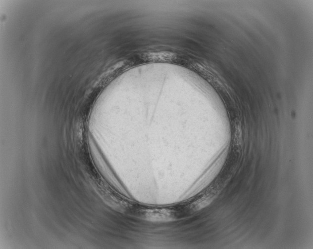 X0000086060363200704202107