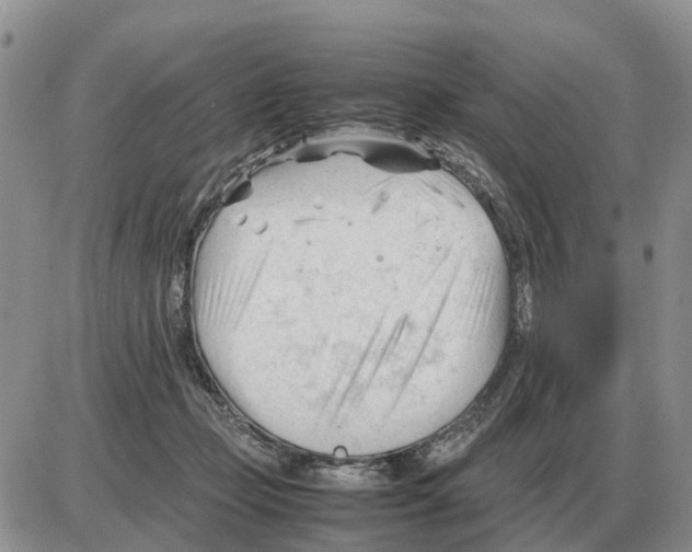 X0000086060365200704202107