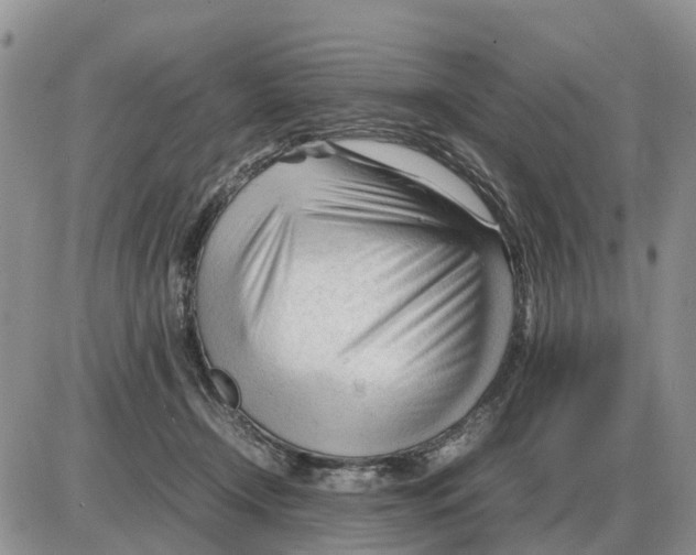 X0000086060366200704202107