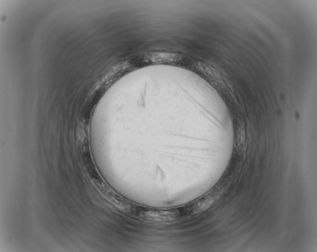 X0000086060367200704202107