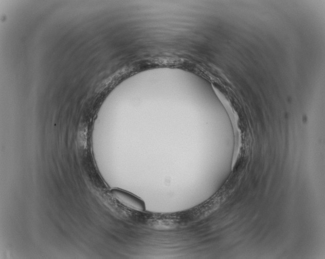 X0000086060368200704202107