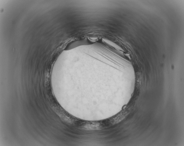 X0000086060369200704202107