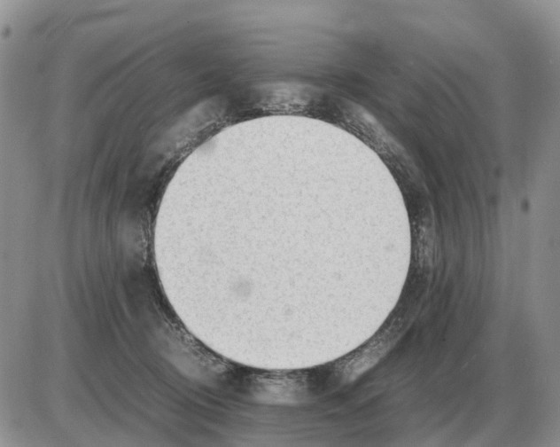 X0000086060370200704202107