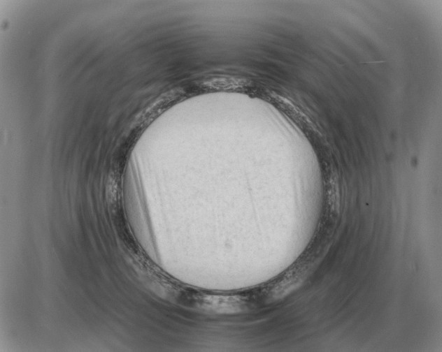 X0000086060371200704202107