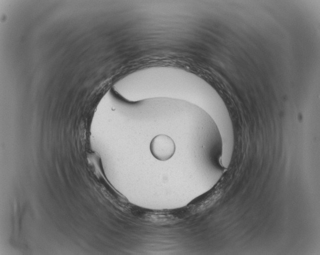 X0000086060372200704202107