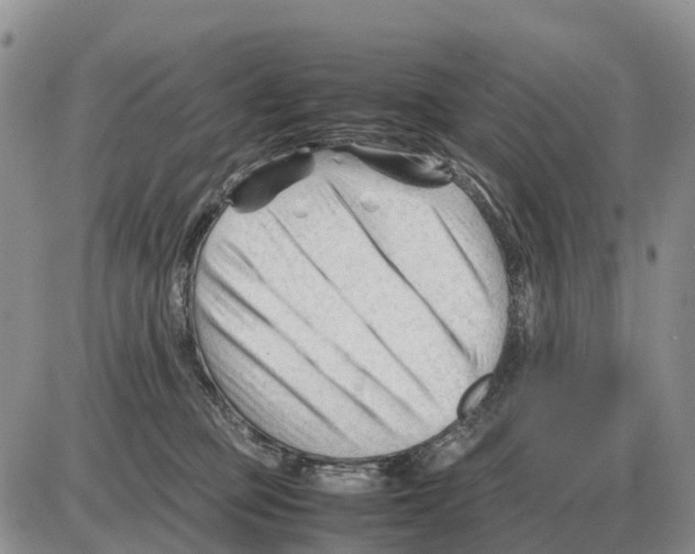 X0000086060373200704202107