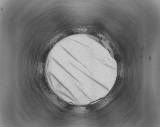 X0000086060374200704202107