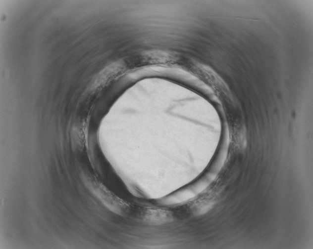 X0000086060376200704202107