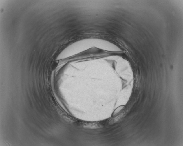 X0000086060377200704202107