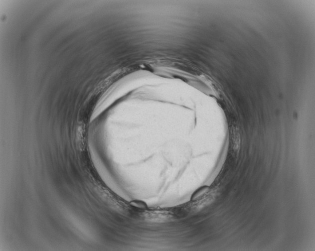 X0000086060378200704202107