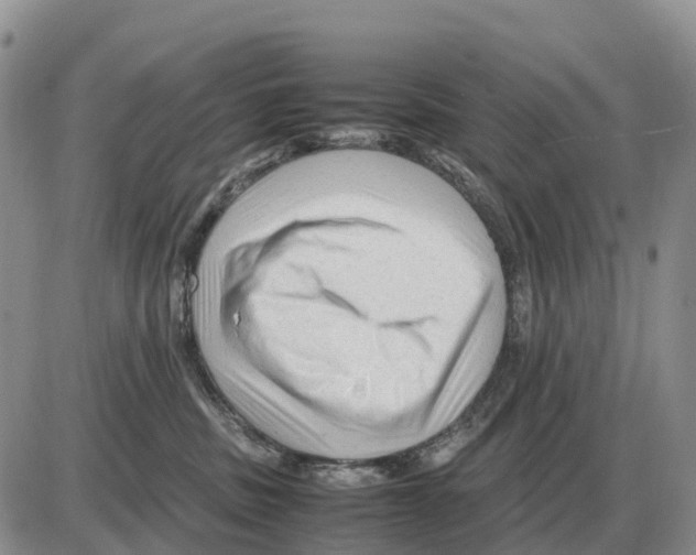 X0000086060379200704202107