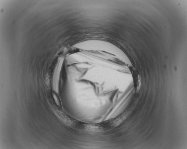 X0000086060380200704202107