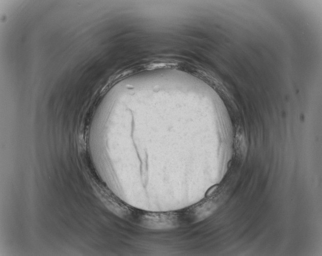 X0000086060381200704202107