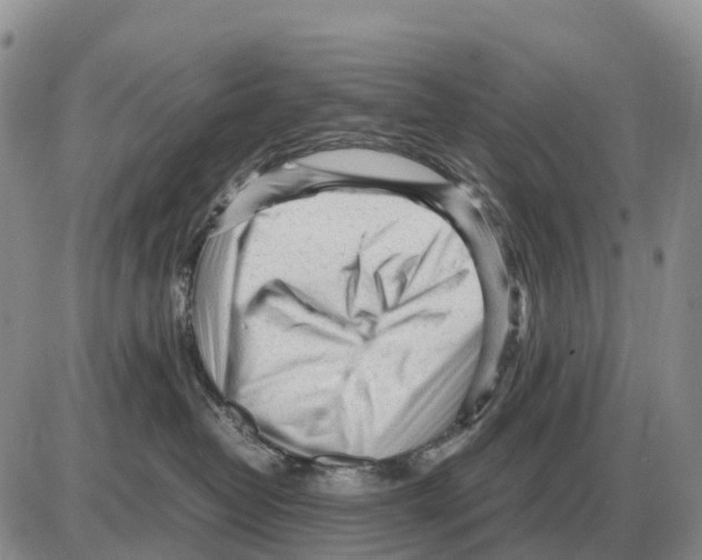 X0000086060382200704202107