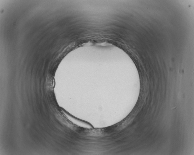 X0000086060384200704202107