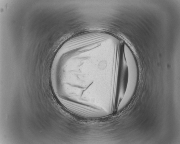 X0000086060385200704202106