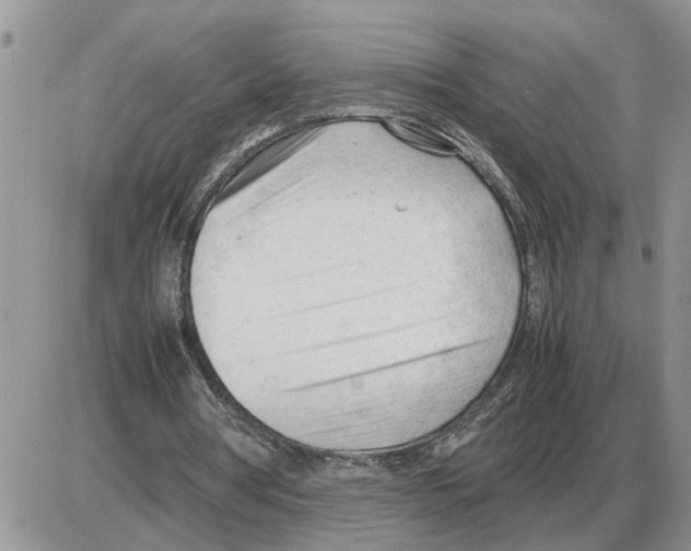 X0000086060386200704202106