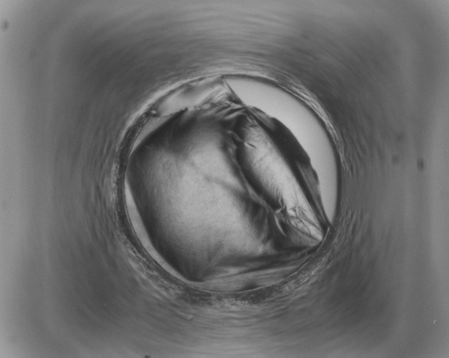 X0000086060387200704202106