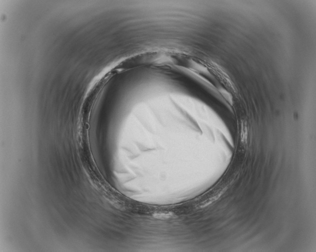 X0000086060388200704202106