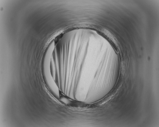 X0000086060389200704202106