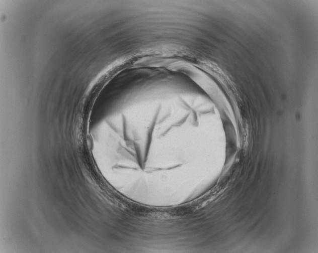 X0000086060392200704202106