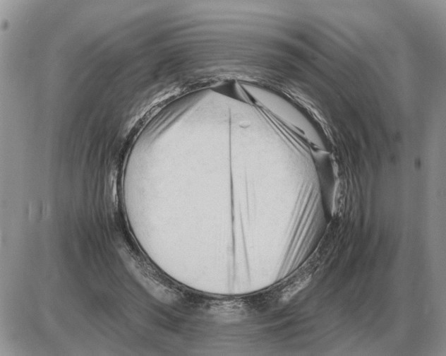 X0000086060398200704202106