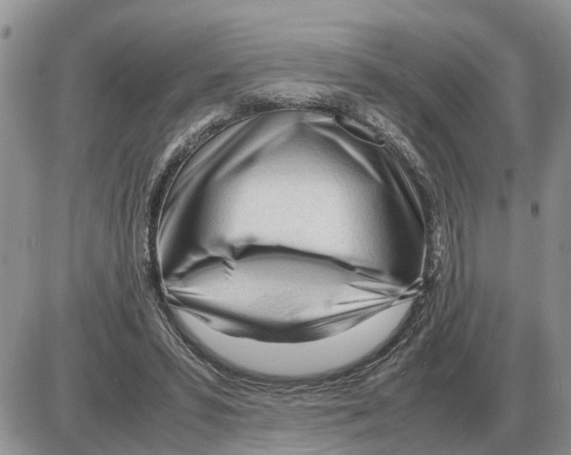 X0000086060399200704202106