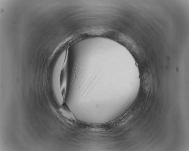 X0000086060400200704202106