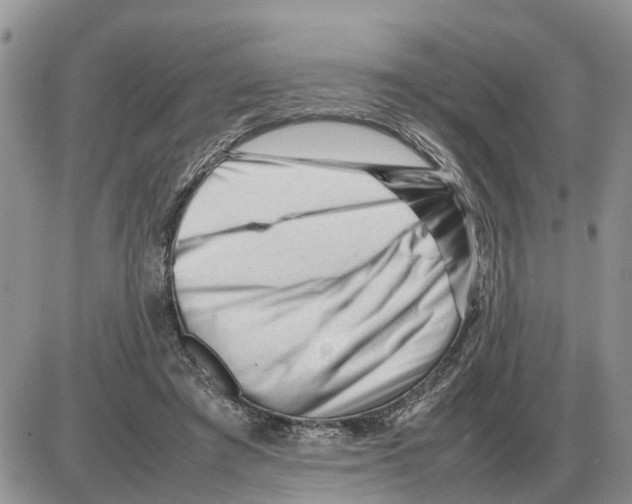 X0000086060401200704202106