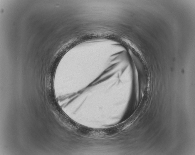 X0000086060403200704202106