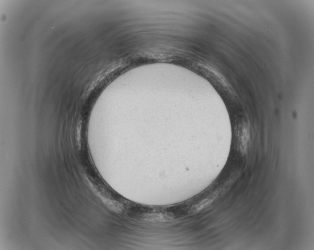 X0000086060404200704202106