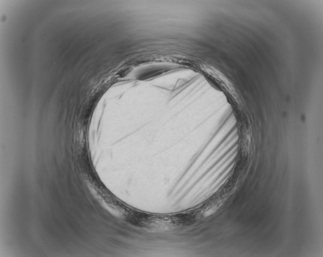 X0000086060405200704202106