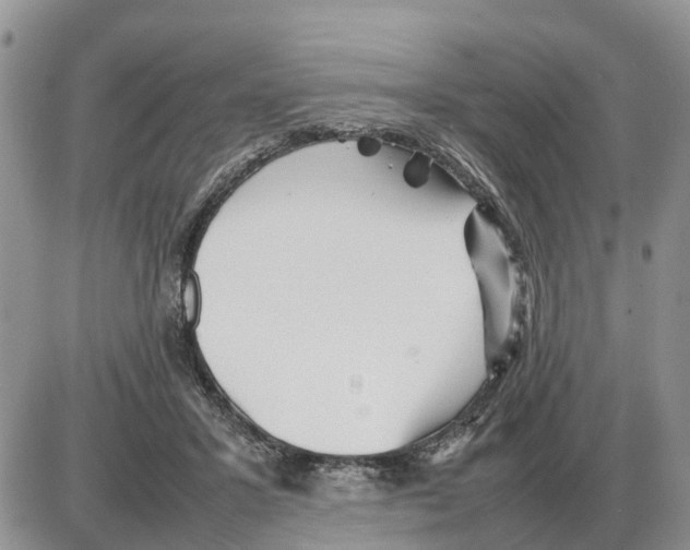 X0000086060407200704202106