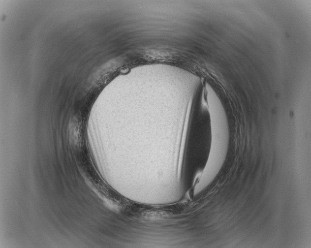 X0000086060408200704202106