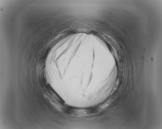 X0000086060409200704202106