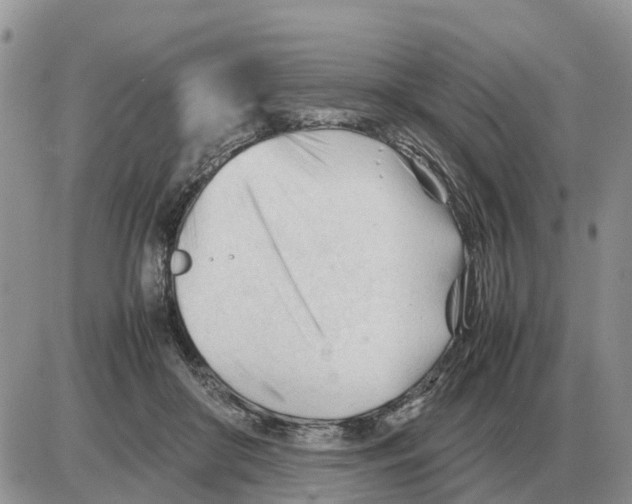 X0000086060410200704202106